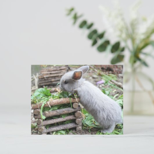 graues Häschen das first Briefkaart (Staand voorkant)
