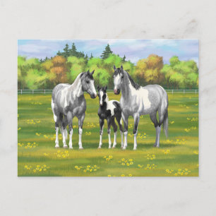 Grauwe dappel verfpaarden in zomerdeeg briefkaart