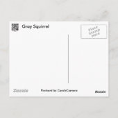 Grauwe eekhoorn reeks briefkaart (Achterkant)