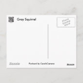 Grauwe eekhoorn reeks briefkaart (Achterkant)