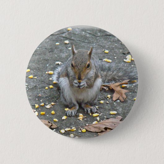 Grauwe eekhoorn reeks ronde button 5,7 cm (Voorkant)
