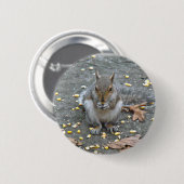Grauwe eekhoorn reeks ronde button 5,7 cm (Voorkant /achterkant)