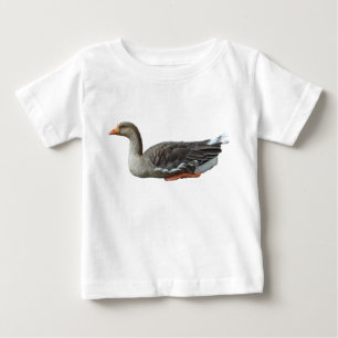 Grauwe Gans Zwaangans kruising