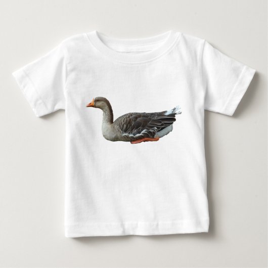 Grauwe Gans Zwaangans kruising (Voorkant)