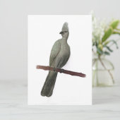 Grauwe-go-away vogelpotloodtekening feestdagenkaart (Staand voorkant)