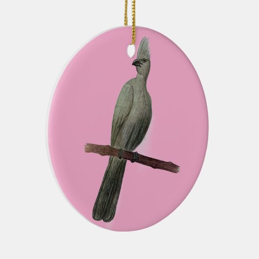 Grauwe-go-away vogelpotloodtekening keramisch ornament (Rechts)