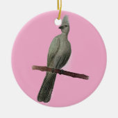 Grauwe-go-away vogelpotloodtekening keramisch ornament (Voorkant)