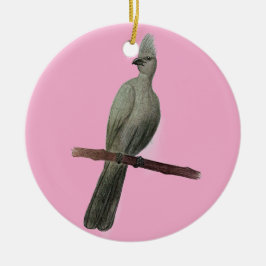 Grauwe-go-away vogelpotloodtekening keramisch ornament