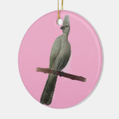 Grauwe-go-away vogelpotloodtekening keramisch ornament (Links)