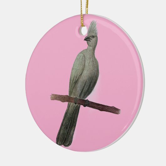 Grauwe-go-away vogelpotloodtekening keramisch ornament (Links)