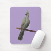 Grauwe-go-away vogelpotloodtekening muismat (Met muis)