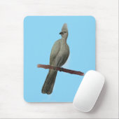 Grauwe-go-away vogelpotloodtekening muismat (Met muis)