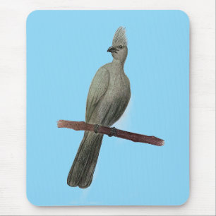 Grauwe-go-away vogelpotloodtekening muismat