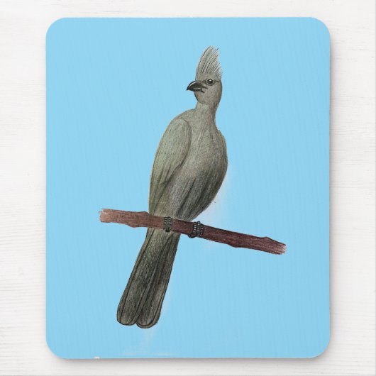 Grauwe-go-away vogelpotloodtekening muismat (Voorkant)