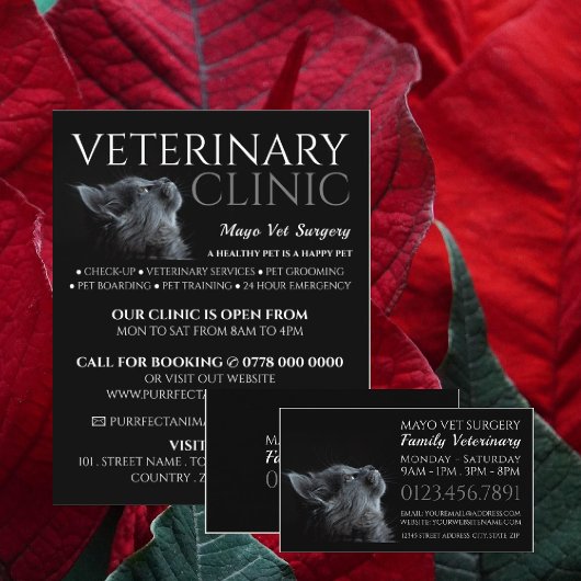 Grauwe kat, dierenarts, veterinaire dienst flyer