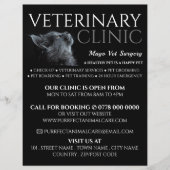 Grauwe kat, dierenarts, veterinaire dienst flyer (Voorkant)