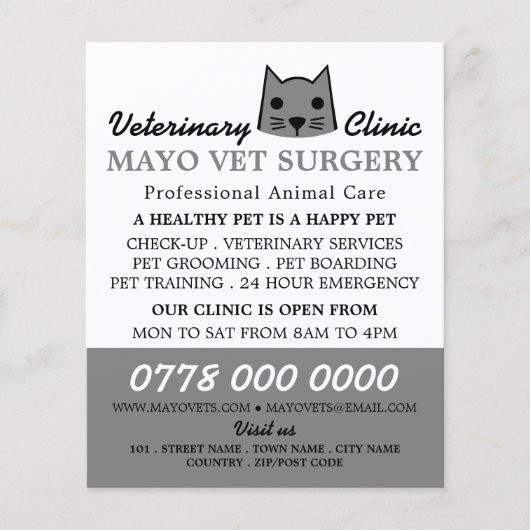 Grauwe kat, dierenarts, veterinaire dienst flyer (Voorkant)