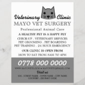 Grauwe kat, dierenarts, veterinaire dienst flyer (Voorkant)