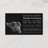 Grauwe kat, dierenarts, veterinaire dienst visitekaartje (Voorkant)