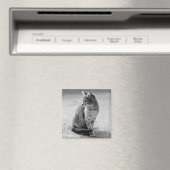 Grauwe kat Magnet (Insitu (Vaatwasser))