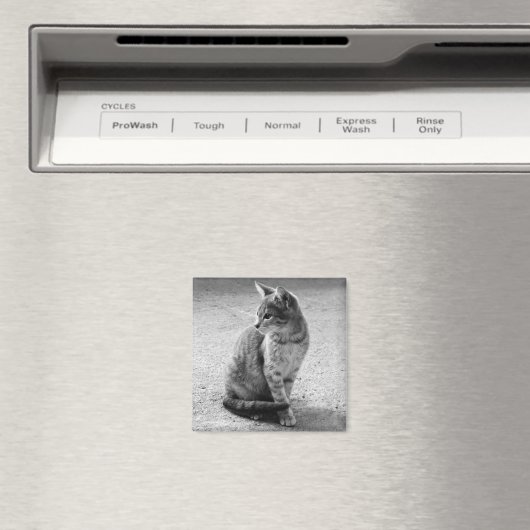 Grauwe kat Magnet (Insitu (Vaatwasser))