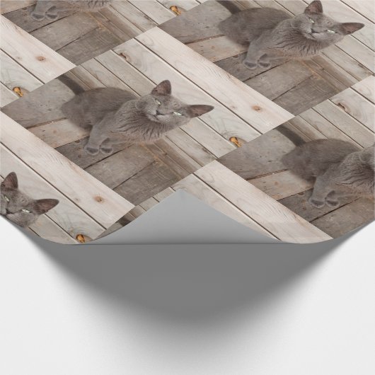 Grauwe katfoto cadeaupapier (Hoek)