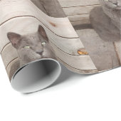 Grauwe katfoto cadeaupapier (Rol Hoek)