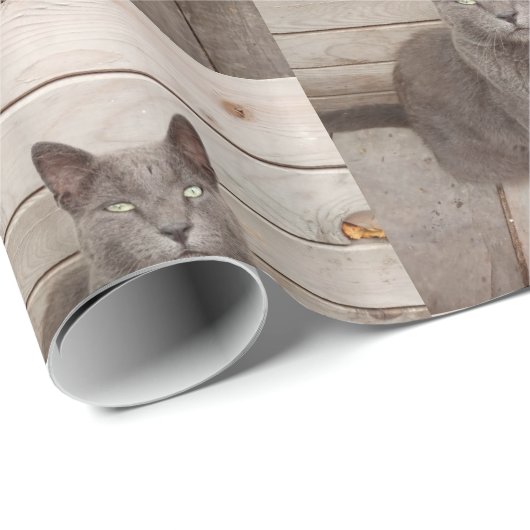 Grauwe katfoto cadeaupapier (Rol Hoek)