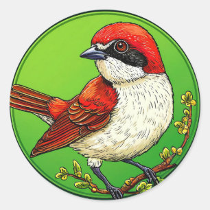 Grauwe Klauwier 🦜 Levendige Vogel Natuur Kunst 🌿 Ronde Sticker