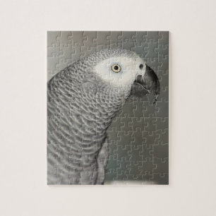 Grauwe papegaai legpuzzel