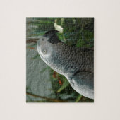 Grauwe papegaai legpuzzel (Verticaal)