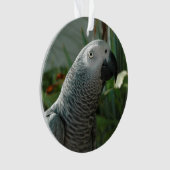 Grauwe papegaai ornament (voorkant)
