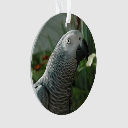 Grauwe papegaai ornament (voorkant)