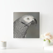Grauwe papegaai vierkante klok (Huis)
