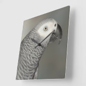 Grauwe papegaai vierkante klok (Hoek)