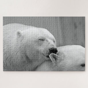 Grauwe polaire foto van beren legpuzzel