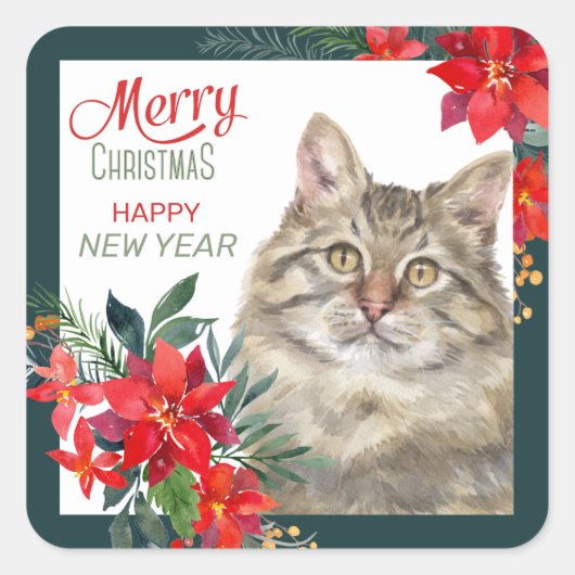 Grauwe tablet Cat Poinsettia Border Kerstmis Vierkante Sticker (Voorkant)