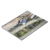 Grauwe vogelfoto notitieboek (Linkerzijde)