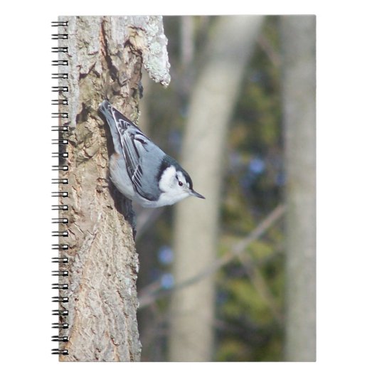 Grauwe vogelfoto notitieboek (Voorkant)