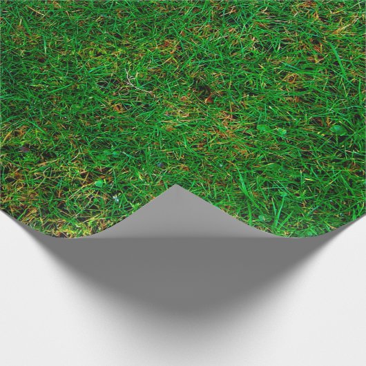 Grauwe weide textuur cadeaupapier (Hoek)