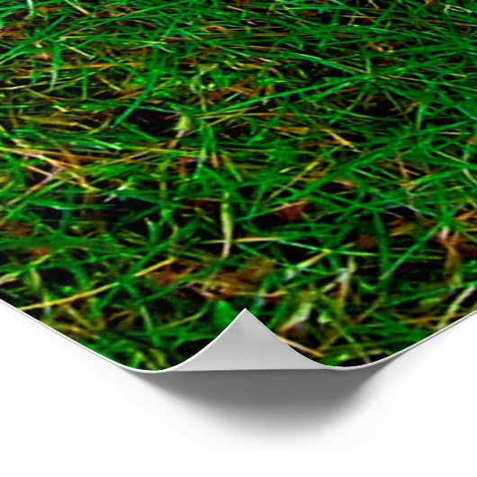 Grauwe weide textuur poster (Hoek)