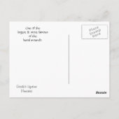 Grave Creek Mound Briefkaart (Achterkant)