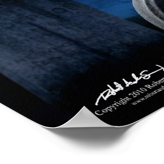 Grave Raven 16 x 20 Poster (Hoek)