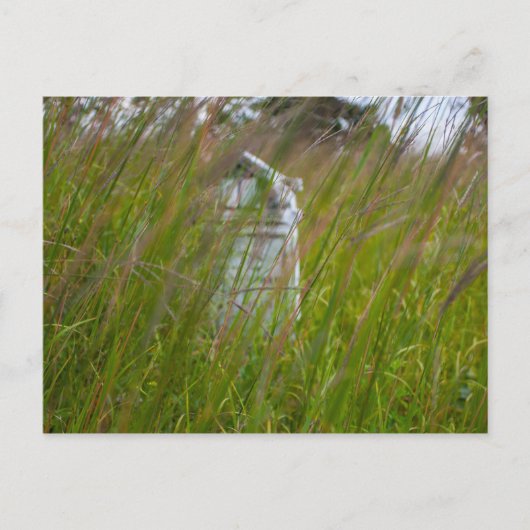 Grave, Smith Cemetery State Natuur Preserve, Ohio Briefkaart (Voorkant)