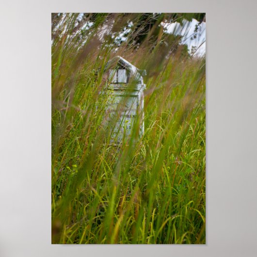 Grave, Smith Cemetery State Natuur Preserve, Ohio Poster (Voorkant)