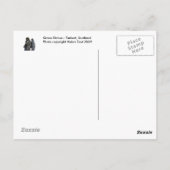 Grave Statue Briefkaart (Achterkant)