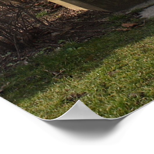 Grave van Johannes Brahms Poster (Hoek)