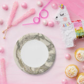 Graved Map of North America Papieren Bordje (Feest)