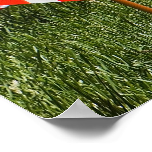 Graven gekleed met Memorial Day Flags Poster (Hoek)