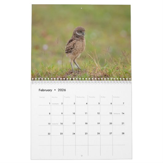 Gravende uil 2026 kalender (Feb 2026)
